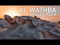 Abu Dhabi Fossil Dunes - Al Wathba Fossil Rocks