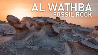 Abu Dhabi Fossil Dunes - Al Wathba Fossil Rocks