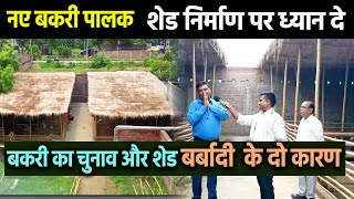 GOAT FARMING शुरू करना है तो GOAT FARM SHED DESIGN और GOAT BREED SELECTION का होमवर्क पहले कीजिए