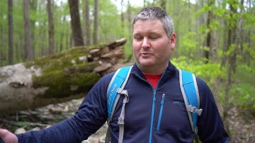 Sony a7iii Dual SD Card Slots