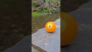 Четки из бильярдного шара №1