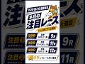【函館競馬】6月20日 注目レース｜能力ランキング＆指数トップ5