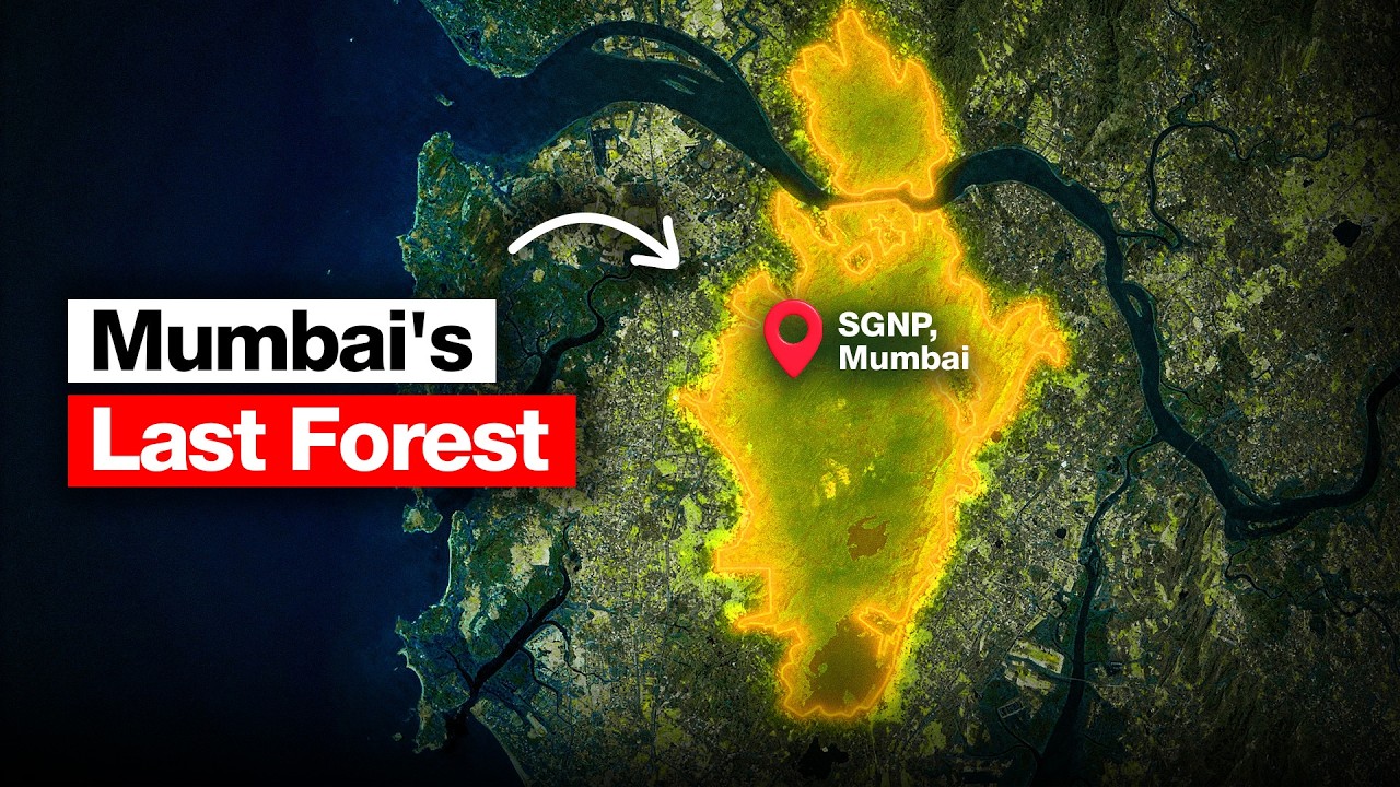 Why Mumbai Can't Afford this New SGNP Plan