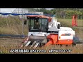小豆の収穫　2021 10 04