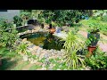Nhà cấp 4 sân vườn - Hồ cá Koi tự làm | Beautiful garden house & koi pond | Thích Tự Làm Chanel