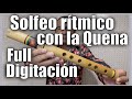 Digitación y solfeo rítmico con la Quena