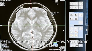 The Science of Learning: How Your Brain Learns Best #shorts