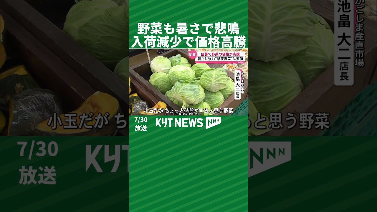 Vegetables Suffer in the Heat: Supplies Drop and Prices Soar - YouTube