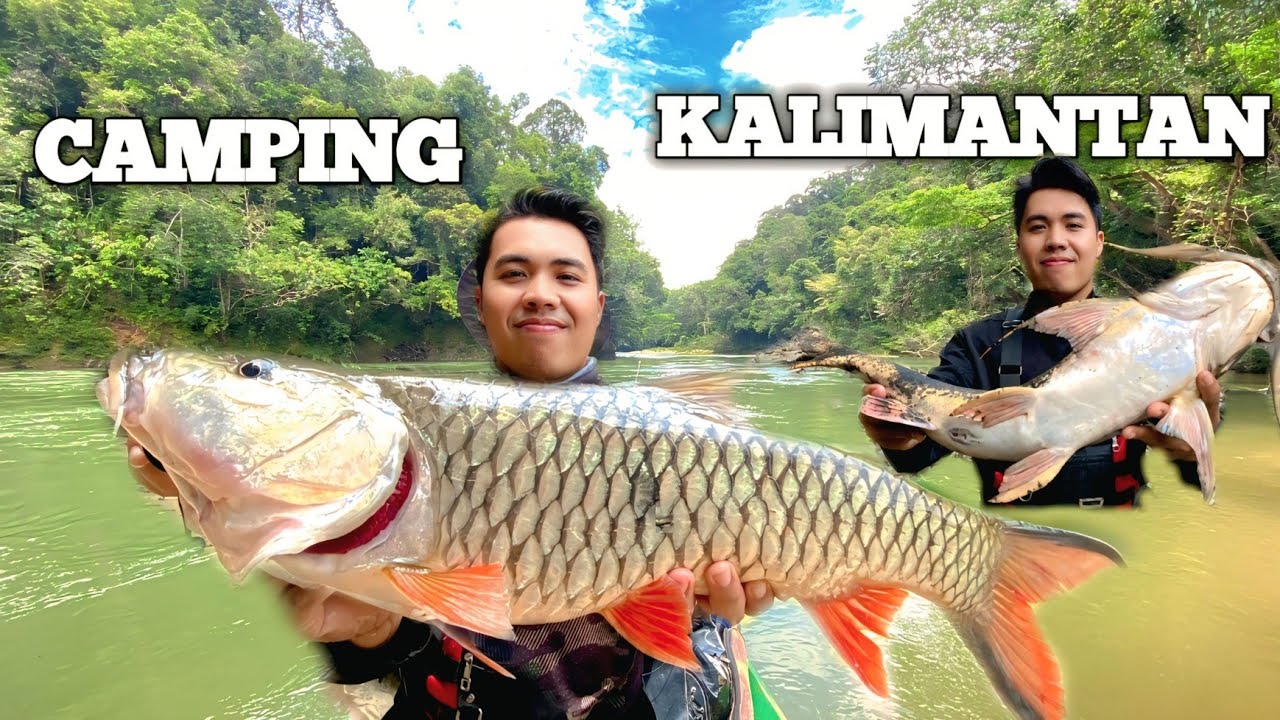 Camping 3 Hari Bermalam di Hutan Pertualangan Hujan deras Fishing Camp and Bushcraft