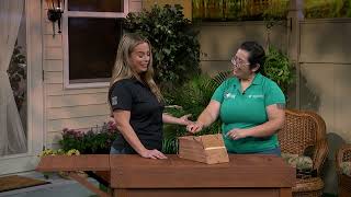Extension Solutions Selecting A Birdhouse