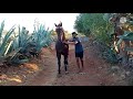 مشينا عند اخي سعيد خرج لينا جدع البرگي🐴 دوخني بنخوة ديالو الله وما بارك ❤️
