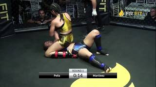 Best Ground and Pound 26 Female MMA