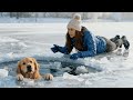 Epic Winter Rescue Dog Saved from Ice!