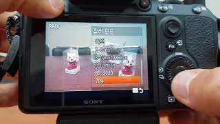 Bodnara Sony A7 Iii Setting