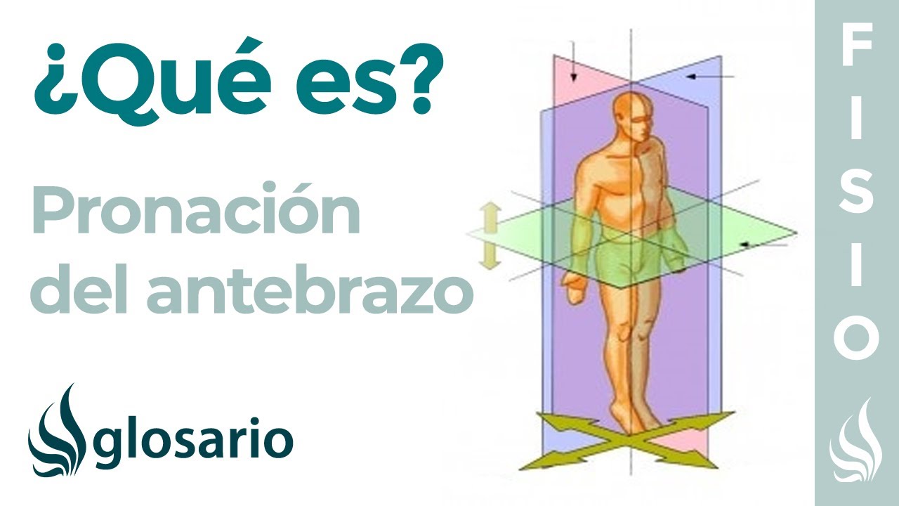 PRONACIÓN | Qué es, qué parte del cuerpo realiza este movimiento y cómo ...