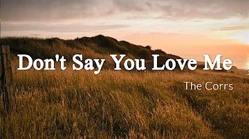 Don't Say You Love Me - The Corrs [Lyrics + Vietsub]