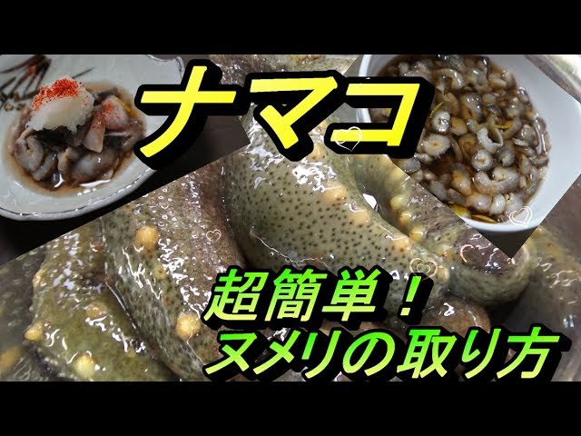 簡単ヌメリ取り ナマコ酢の簡単な作り方と さばき方 そして豚足 Youtube 簡単ヌメリ取り ナマコ酢の簡単な作り方と さばき方 そして豚足 Youtube