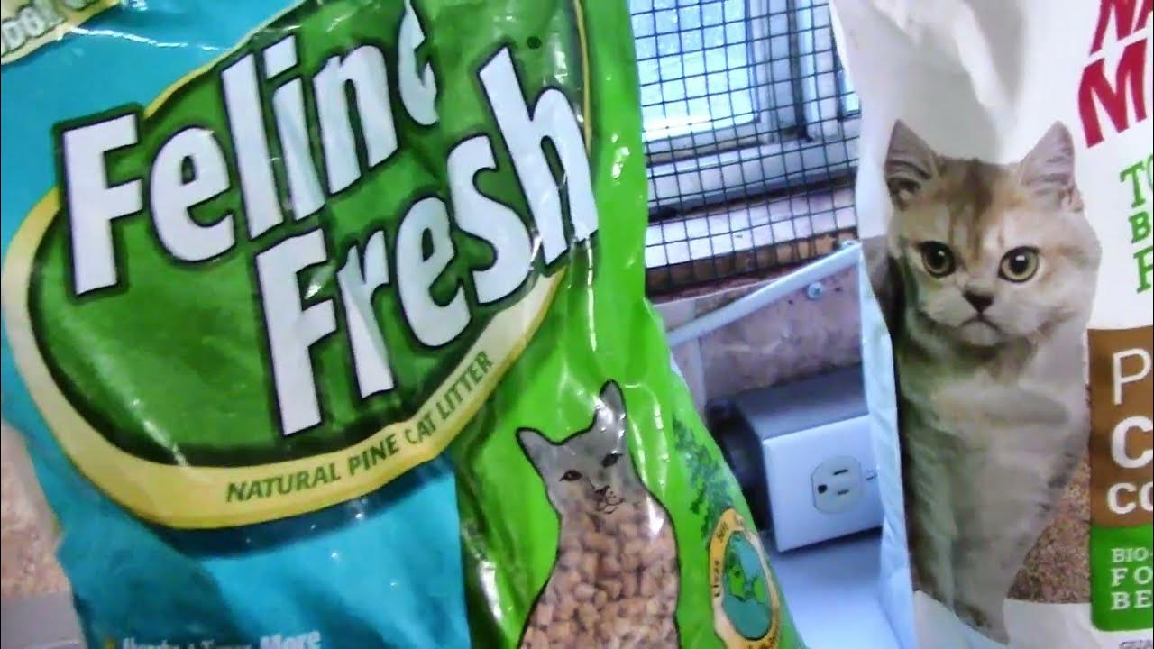 Cat Litter Review YouTube