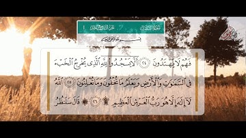 تلاوة سورة النمل للشيخ صابر اللحجي رحمة الله