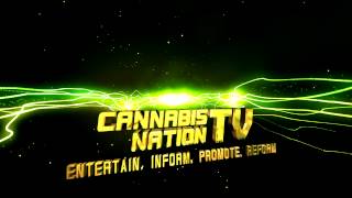CNTV Space Logo
