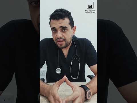 وقت تطعيم القطة بعد الولاة مباشرة ينفع