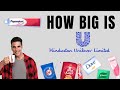 Hul business empire this brand controls your life  how hul controls every household in india