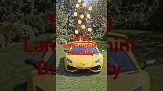 Lamborghini,testing durability #satisfying #supercars  #Lamborghini #test #love #sad #food #football