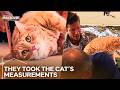 The Team Came Up With Another Crazy Idea Again | Extreme Makeover Home Edition | Season 3 Episode 8