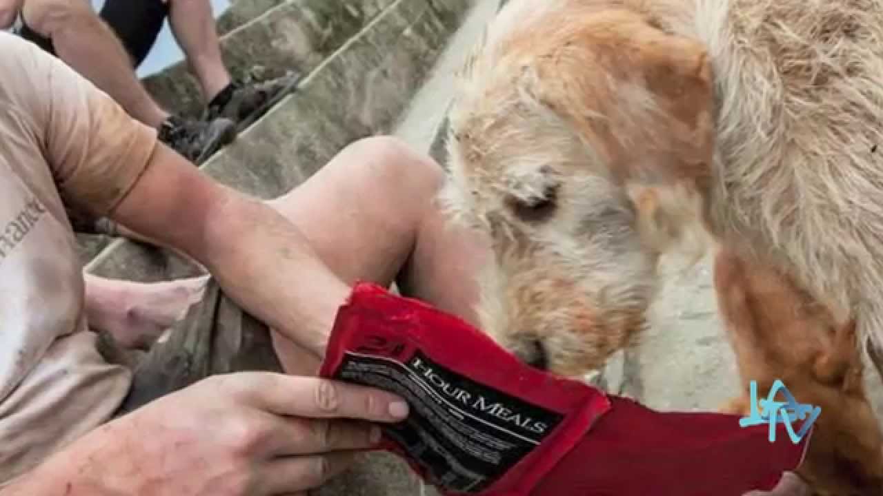 Arthur 23/11/14 LA TV ECUADOR