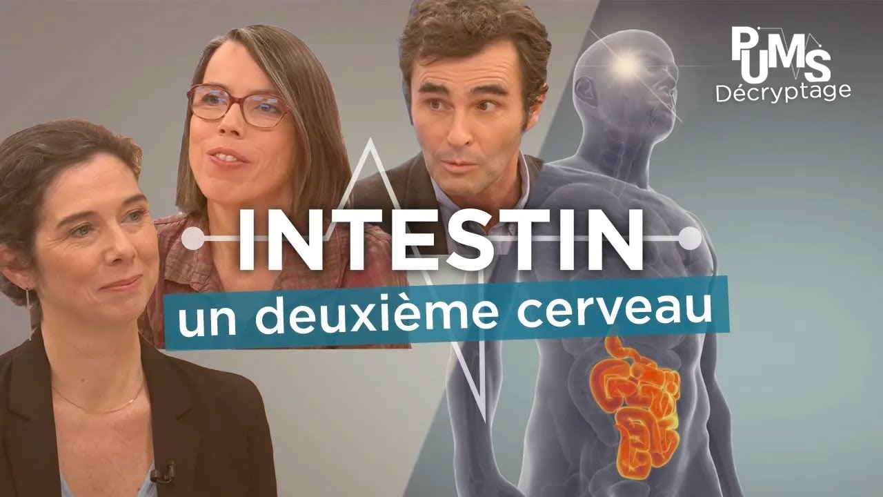 Un reportage intéressant sur l'intestin et l'importance de bien s'alimenter.