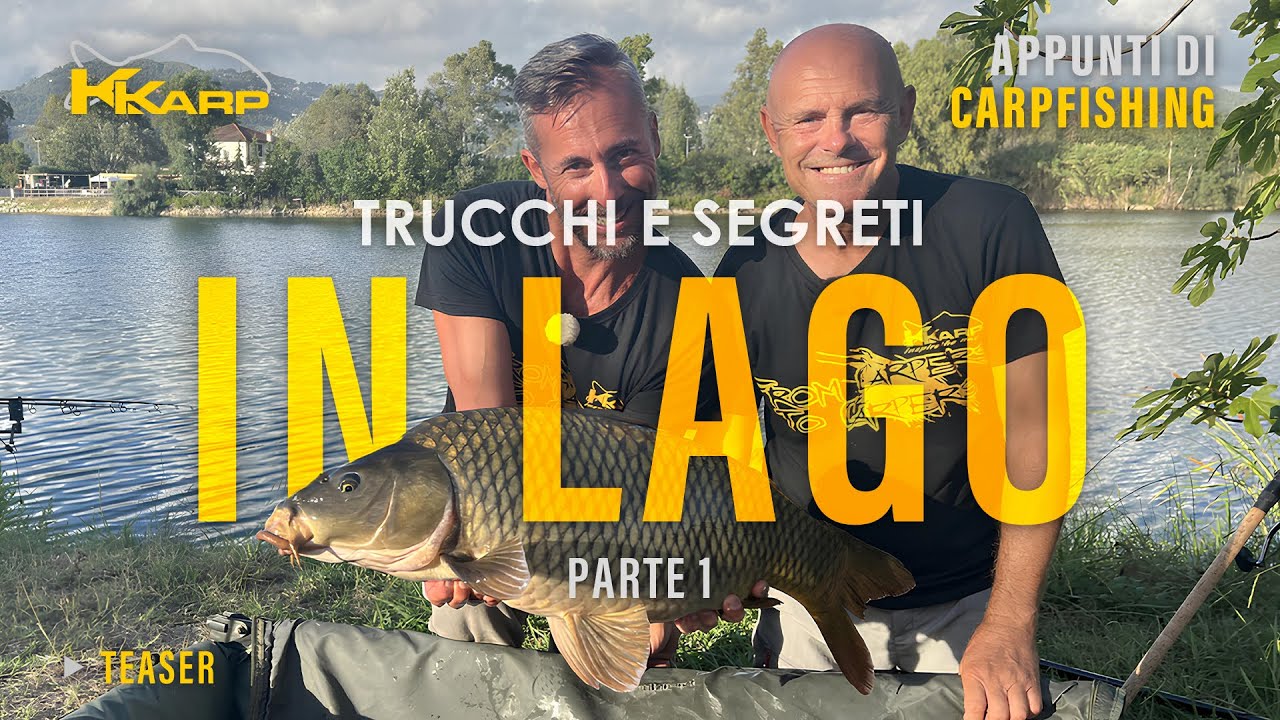 ALIMENTATORE METODO AERODINAMICO per Pesca alla Carpa 20/30/40/50/60/70
