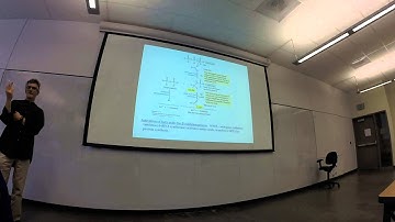 Lecture 16 – Fat Metabolism (Part 4)