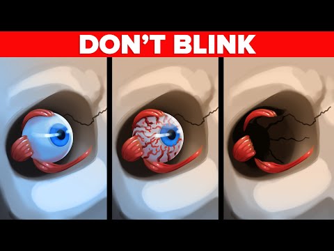 Video: Vad är sömniga blinkare?