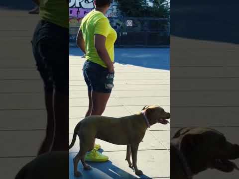 تيك توك اكسبلور كوثر أوعلال ترند كوثر    لايك