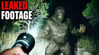 The Most Compelling BIGFOOT FOOTAGE You Have To See To Believe