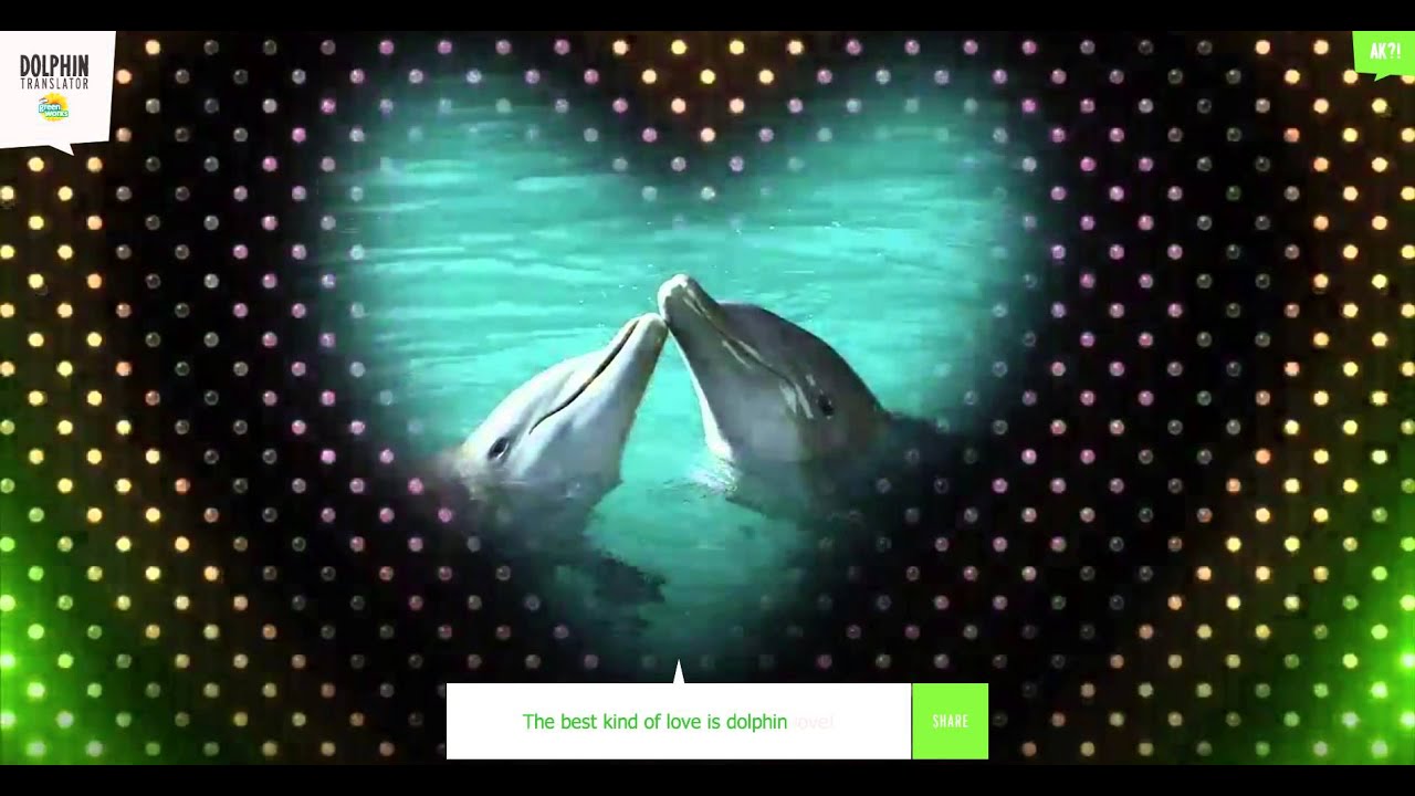 The Best Kind of Love- Green Works Dolphin Translator