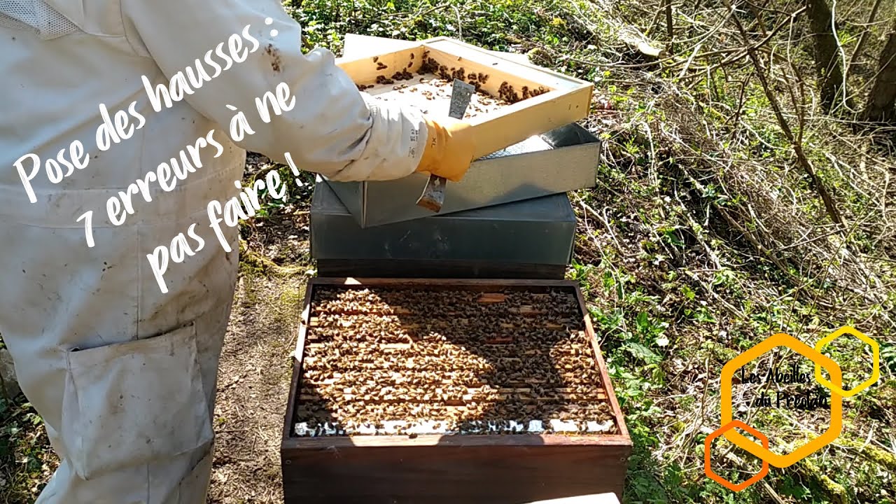 Pose des hausses : 7 erreurs à ne pas faire !