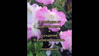 Я прощаю себя и всех вокруг меня 🙏