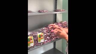 Frenteo De Tatanecos Itre