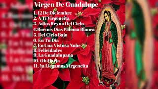 Cantos a la Virgen de Guadalupe screenshot 5