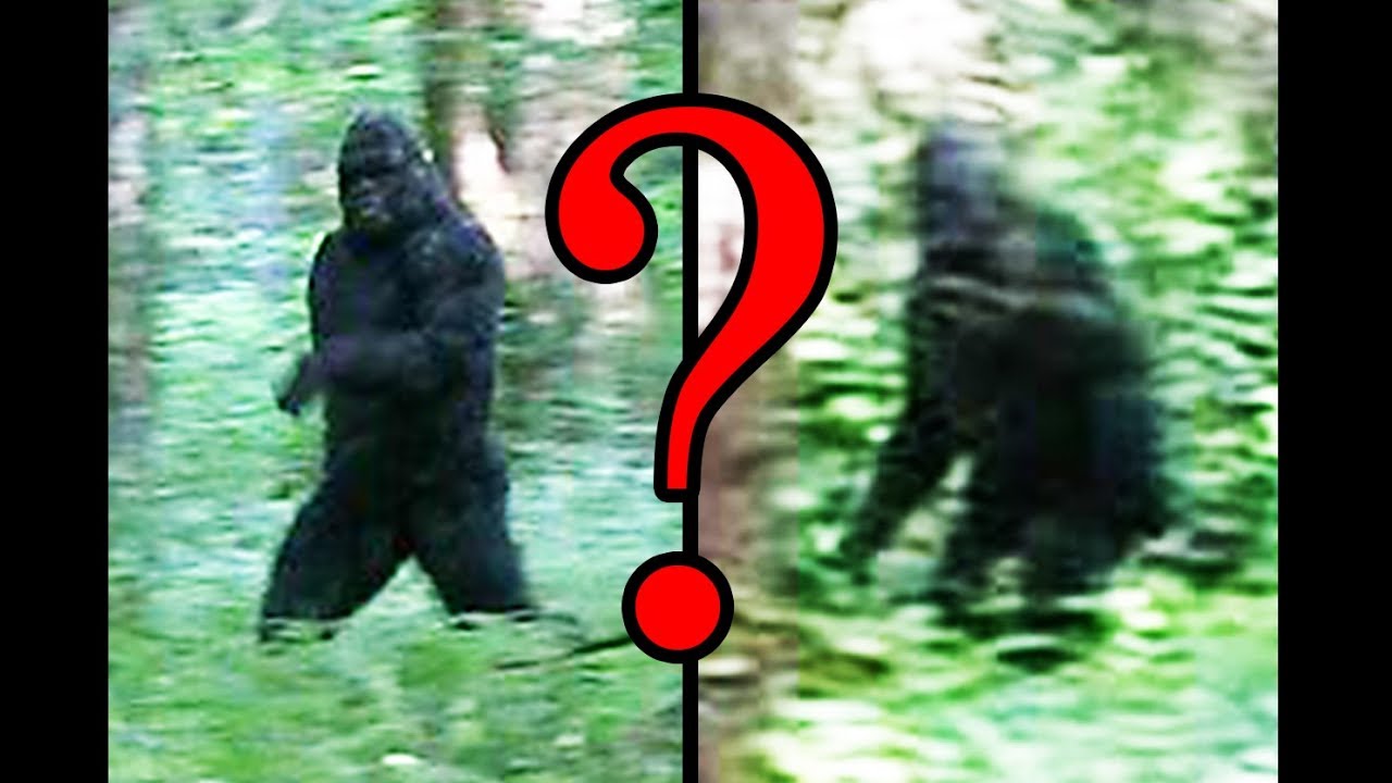 Is Moneymakers' Bigfoot a SUIT?