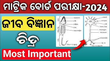 10 class board exam paper 2024 | life science drawing class 10 | science important subjective
