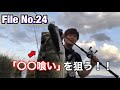 6月琵琶湖は巻かない〇〇アクションが釣れる！【 梅雨 琵琶湖 おかっぱり】