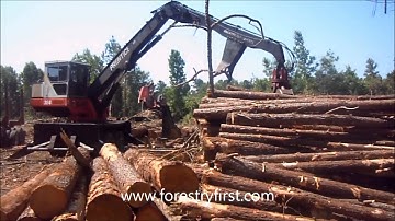 2003 Prentice 384 TMS Loader for Sale at www.forestryfirst.com.wmv