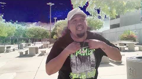 rats in a maze video