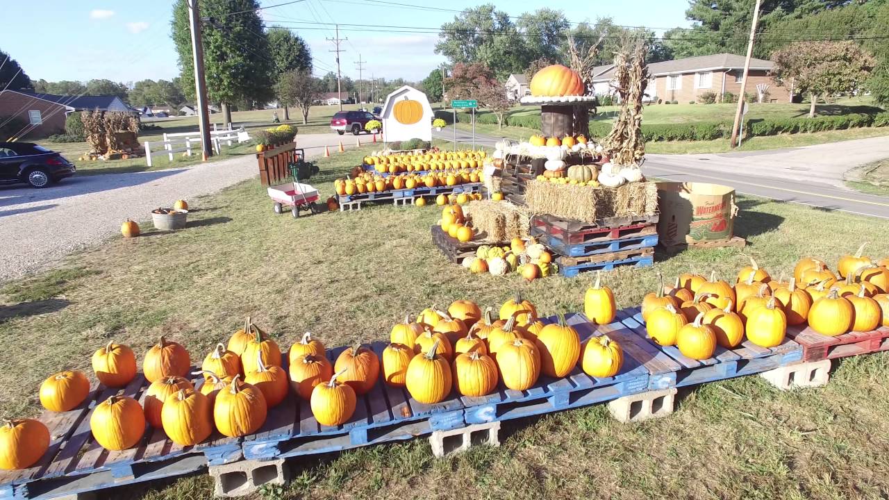 Butcher Family Farm Washington WV YouTube