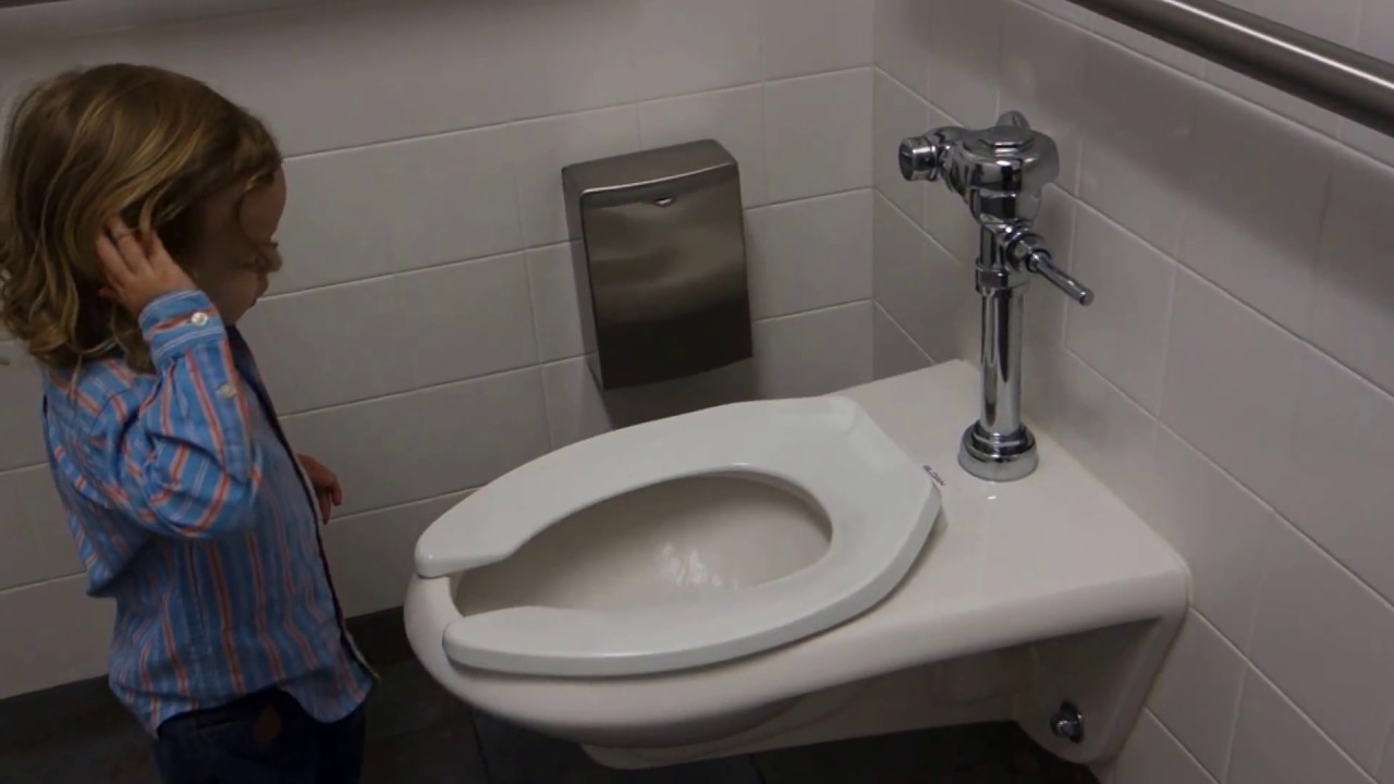 Toilet and Elevator Tour Washington County Free Library YouTube