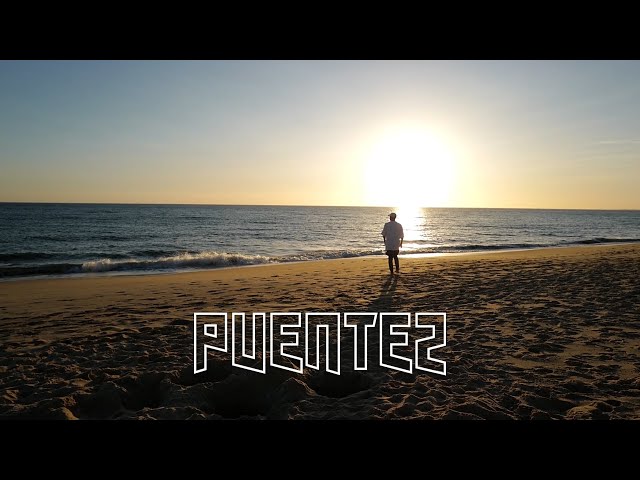 DAVID PUENTEZ - I'M GONE