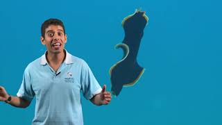 Classifying Reef Creatures - Phylum Platyhelminthes