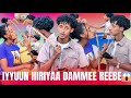 IYYUUN HIRIYAA DAMMEE REEBE BALAAN BUUTE IYYUUN HIRIYAA DAMMEE REEBE BALAAN BUUTE